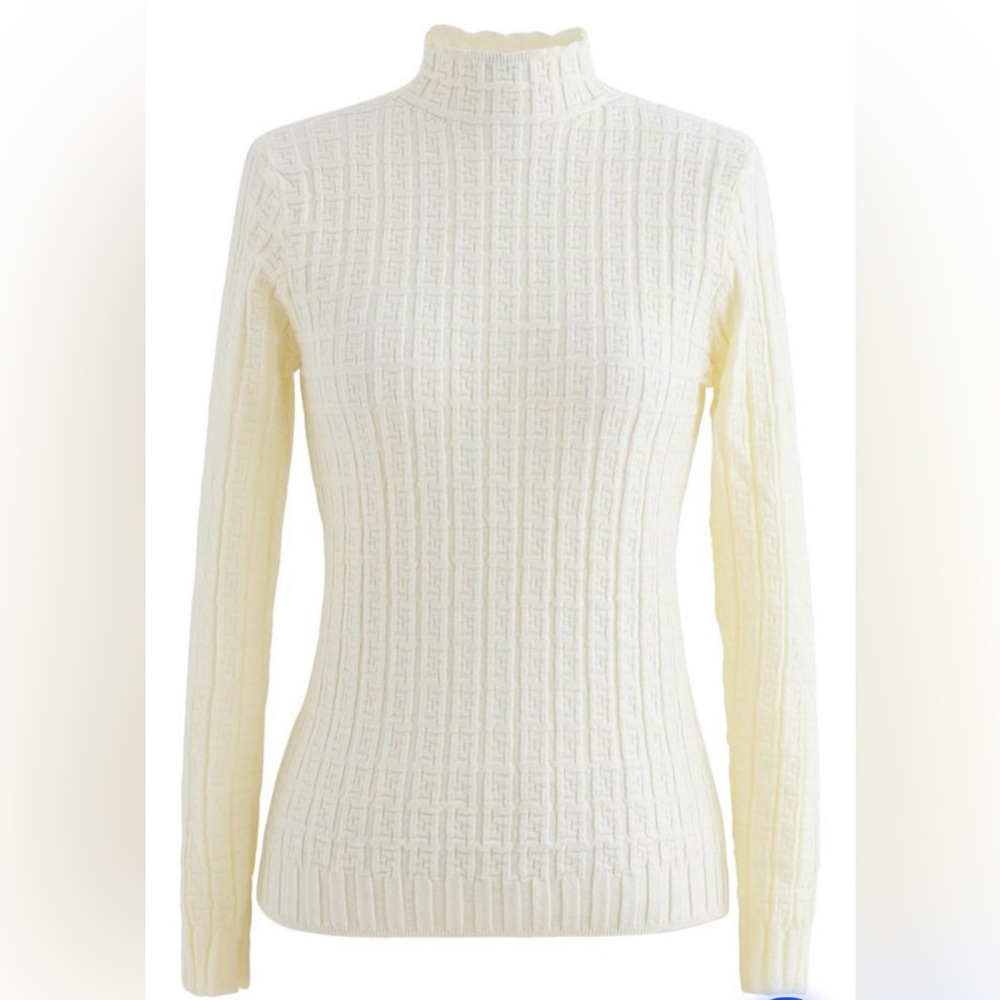 MAZE EMBOSSED HIGH NECK FITTED KNIT TOP IN CREAM long sleeves fall autumn winter
